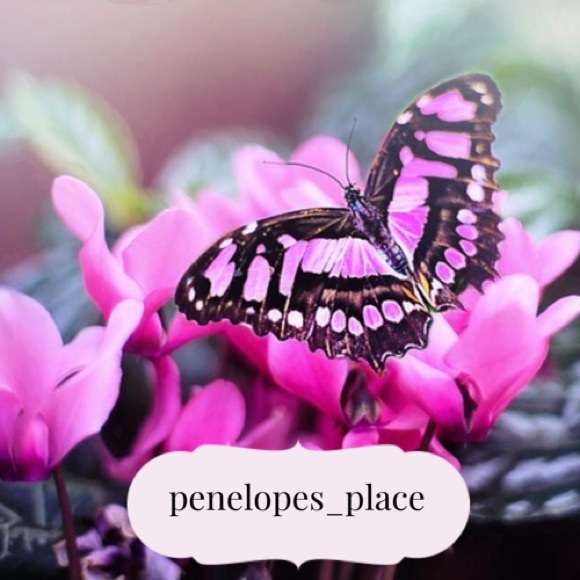 penelopes_place